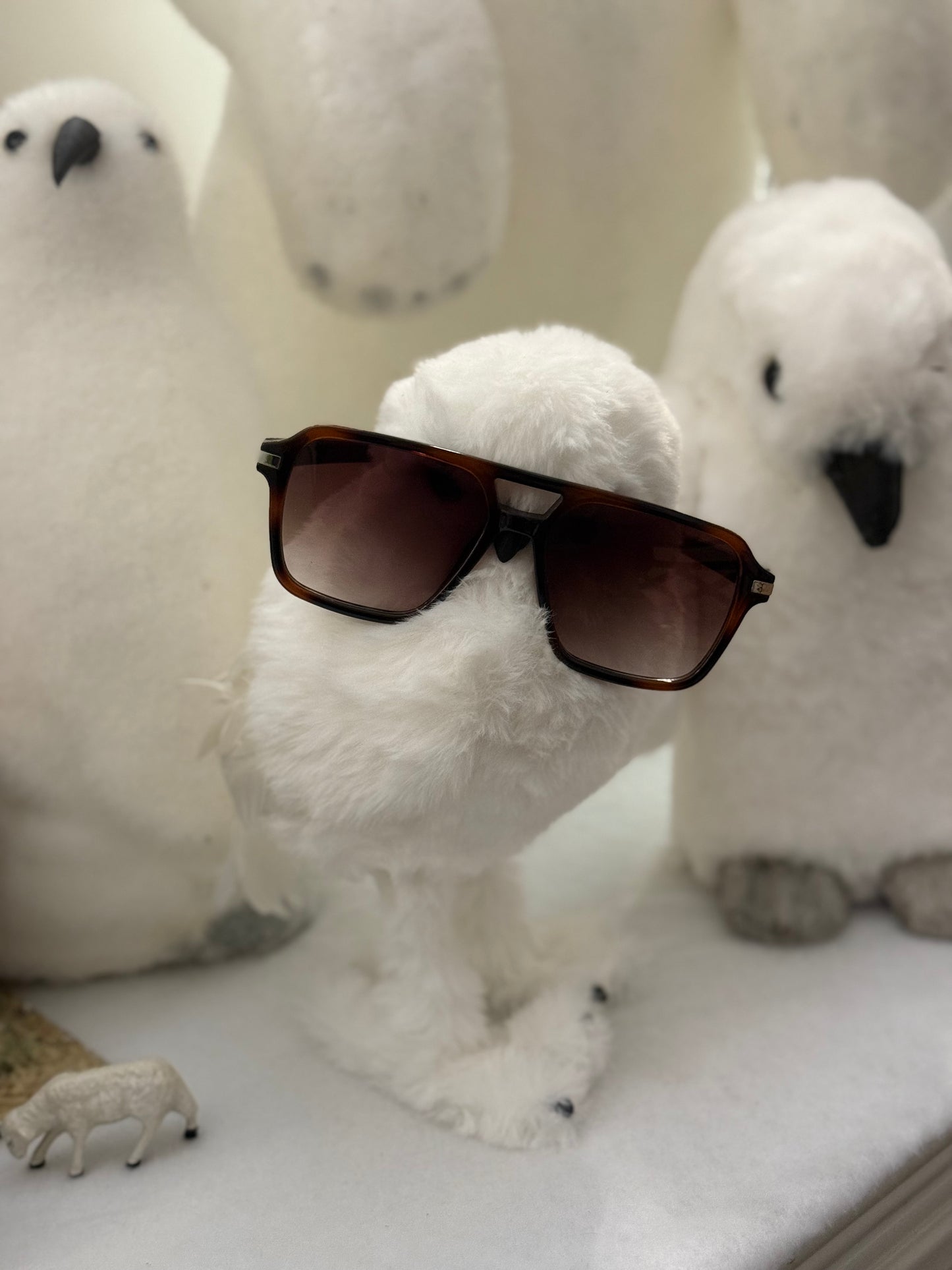 Lunettes de soleil